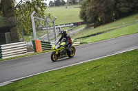 Lower Group Yellow Bikes